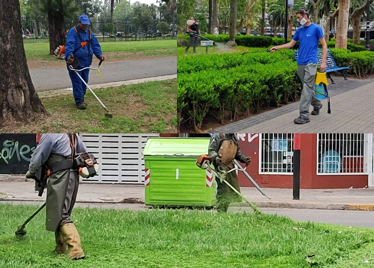 Intensifican tareas de fumigación y desmalezado en barrios y espacios ...