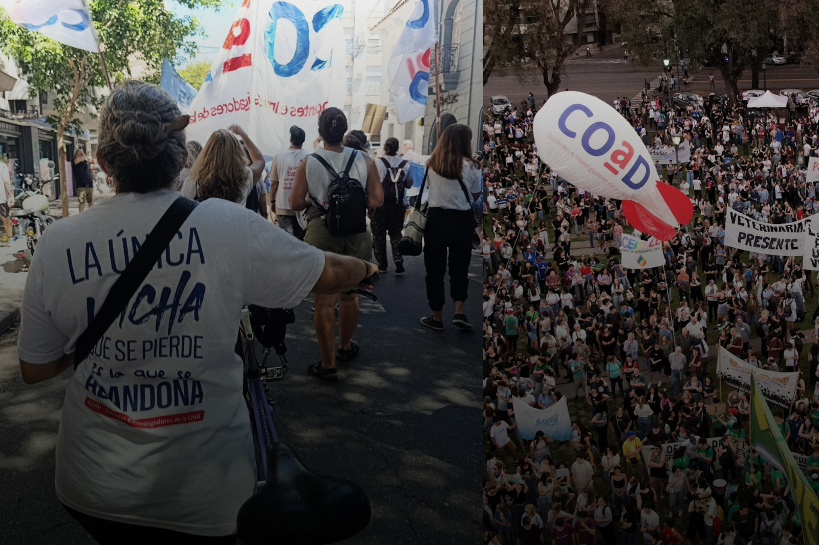 Crisis universitaria: docentes de la UNR y la UTN paran una semana ...